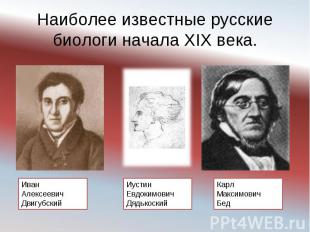 Наиболее известные русские биологи начала XIX века.