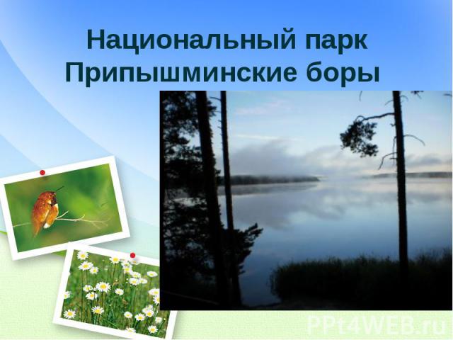 Национальный парк Припышминские боры