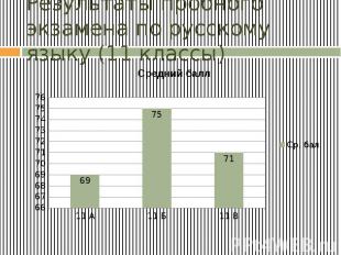 Результаты пробного экзамена по русскому языку (11 классы)