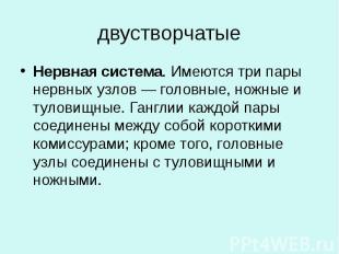 двустворчатые Нервная система. Имеются три пары нервных узлов — головные, ножные