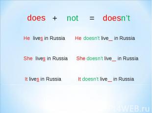 He lives in RussiaShe lives in RussiaIt lives in Russiadoesn’tShe doesn’t live i