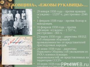 «ЕЖОВЩИНА», «ЕЖОВЫ РУКАВИЦЫ»…29 января 1938 года – против иранцев: осуждено – 13