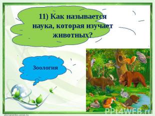 11) Как называется наука, которая изучает животных?Зоология