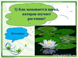 5) Как называется наука, которая изучает растения?Ботаника