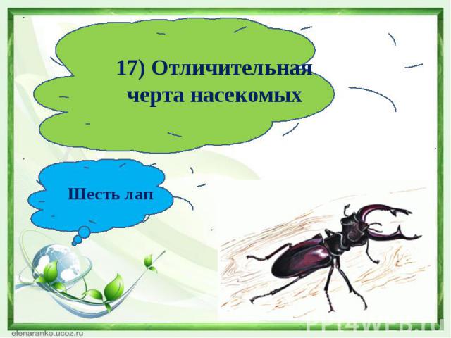 17) Отличительная черта насекомыхШесть лап
