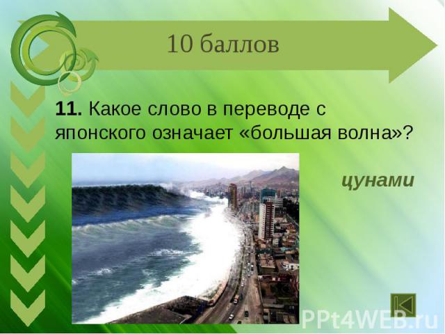 11. Какое слово в переводе с японского означает «большая волна»? цунами
