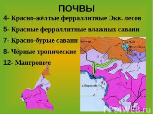 ПОЧВЫ4- Красно-жёлтые ферраллитные Экв. лесов5- Красные ферраллитные влажных сав