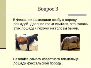 Вопрос 3 В Фессалии разводили особую породу лошадей. Древние греки считали, что