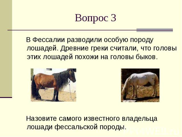 Вопрос 3 В Фессалии разводили особую породу лошадей. Древние греки считали, что головы этих лошадей похожи на головы быков. Назовите самого известного владельца лошади фессальской породы.