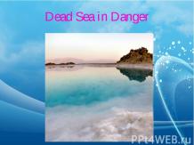 Dead Sea in Danger
