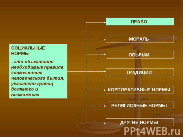 СОЦИАЛЬНЫЕ НОРМЫ - это объективно необходимые правила совместного человеческого бытия, указатели границ должного и возможного