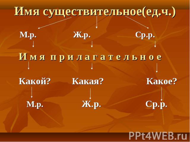 Имя существительное(ед.ч.) М.р. Ж.р. Ср.р. И м я п р и л а г а т е л ь н о е Какой? Какая? Какое? М.р. Ж.р. Ср.р.