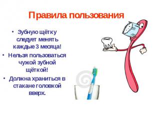 Правила пользования Зубную щётку следует менять каждые 3 месяца! Нельзя пользова
