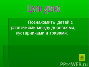 Цели урока Познакомить детей с различиями между деревьями, кустарниками и травам