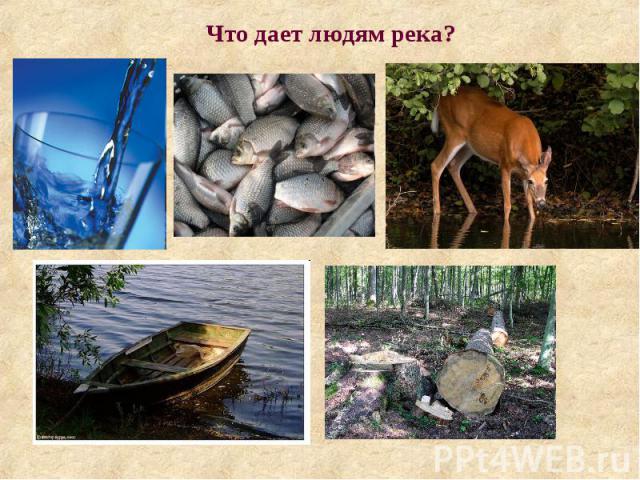 Что дает людям река?