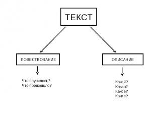 ТЕКСТ Что случилось? Что произошло? Какой? Какая? Какое? Какие?