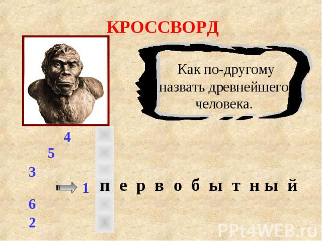 КРОССВОРД Как по-другому назвать древнейшего человека.