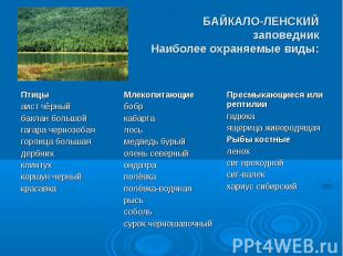 БАЙКАЛО-ЛЕНСКИЙ заповедник Наиболее охраняемые виды: