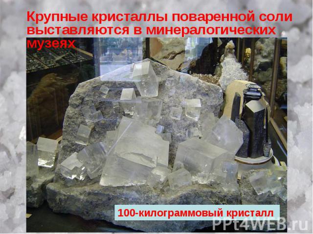 Крупные кристаллы поваренной соли выставляются в минералогических музеях