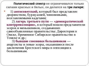 Политический спектр не ограничивался только силами красных и белых, он делился н