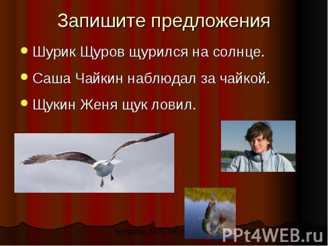 Запишите предложенияШурик Щуров щурился на солнце. Саша Чайкин наблюдал за чайкой. Щукин Женя щук ловил.
