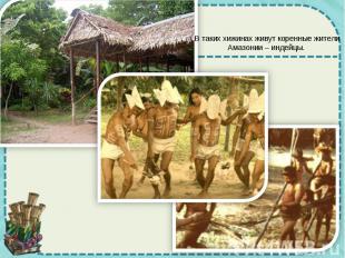 В таких хижинах живут коренные жители Амазонии – индейцы.