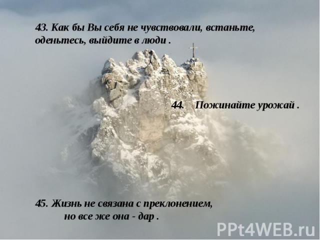 43. Как бы Вы себя не чувствовали, встаньте, оденьтесь, выйдите в люди . 44. Пожинайте урожай . 45. Жизнь не связана с преклонением, но все же она - дар .