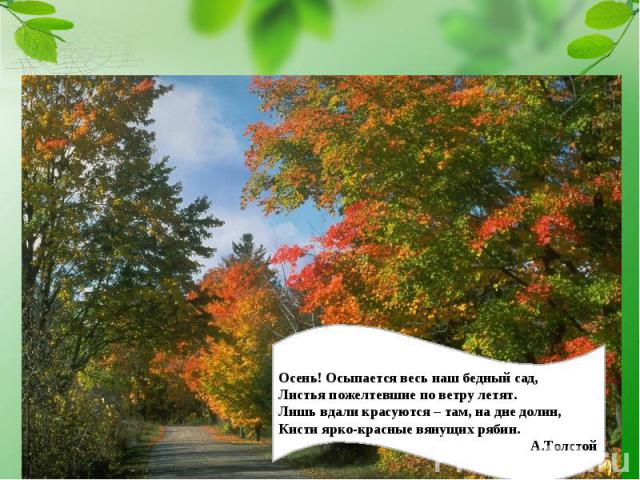 Осень! Осыпается весь наш бедный сад, Листья пожелтевшие по ветру летят. Лишь вдали красуются – там, на дне долин, Кисти ярко-красные вянущих рябин. А.Толстой