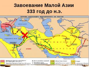 Завоевание Малой Азии 333 год до н.э.