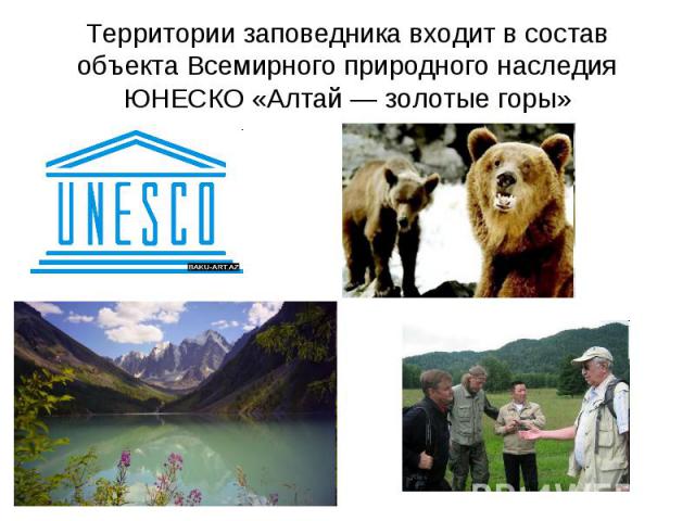 Территории заповедника входит в состав объекта Всемирного природного наследия ЮНЕСКО «Алтай — золотые горы»