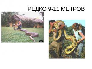 РЕДКО 9-11 МЕТРОВ