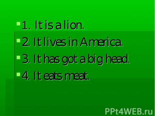 1. It is a lion. 2. It lives in America. 3. It has got a big head. 4. It eats me