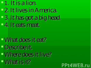 1. It is a lion. 2. It lives in America. 3. It has got a big head. 4. It eats me