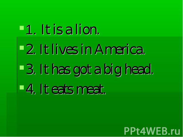 1. It is a lion. 2. It lives in America. 3. It has got a big head. 4. It eats meat.