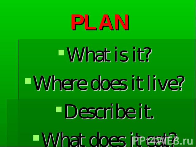 PLAN What is it? Where does it live? Describe it. What does it eat?