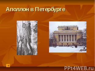Аполлон в Петербурге