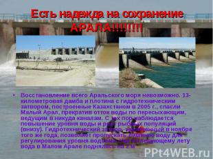 Есть надежда на сохранение АРАЛА!!!!!!!! Восстановление всего Аральского моря не