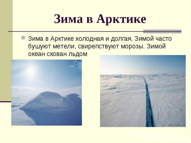 Зима в Арктике Зима в Арктике холодная и долгая. Зимой часто бушуют метели, свирепствуют морозы. Зимой океан скован льдом