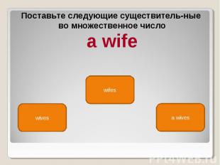 Поставьте следующие существитель ные во множественное число a wife