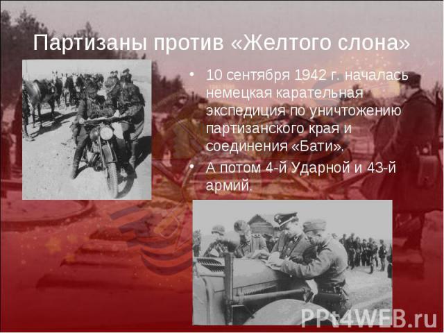 Партизаны против «Желтого слона»10 сентября 1942 г. началась немецкая карательная экспедиция по уничтожению партизанского края и соединения «Бати». А потом 4-й Ударной и 43-й армий.
