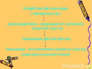 Воздействие факторов среды ( температура и др.) Денатурация белка – разрушение е