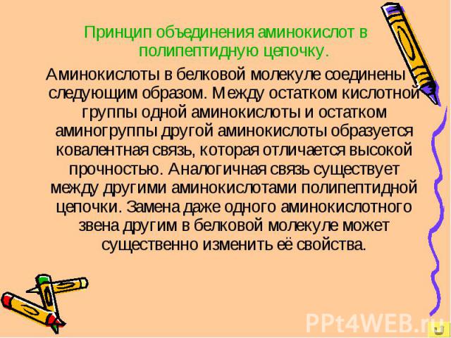 Принцип объединения аминокислот в полипептидную цепочку. Аминокислоты в белковой молекуле соединены следующим образом. Между остатком кислотной группы одной аминокислоты и остатком аминогруппы другой аминокислоты образуется ковалентная связь, котора…