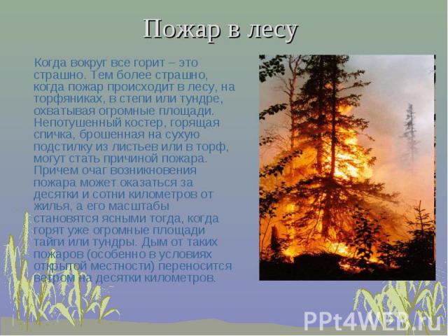 Пожар в лесу Когда вокруг все горит – это страшно. Тем более страшно, когда пожар происходит в лесу, на торфяниках, в степи или тундре, охватывая огромные площади. Непотушенный костер, горящая спичка, брошенная на сухую подстилку из листьев или в то…