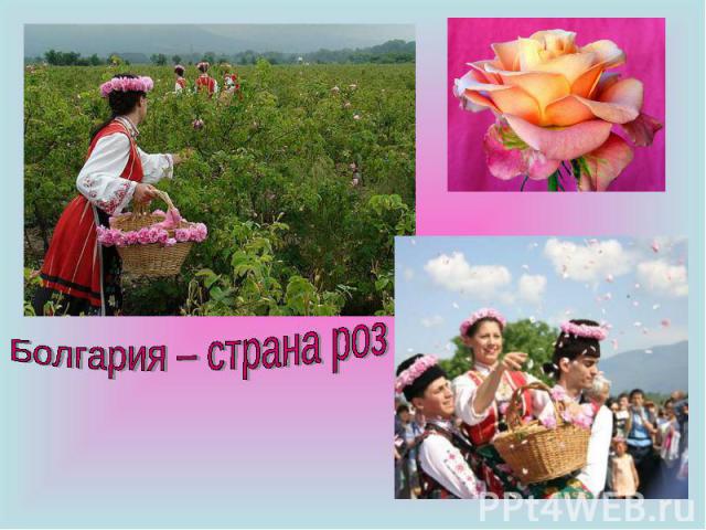 Болгария – страна роз