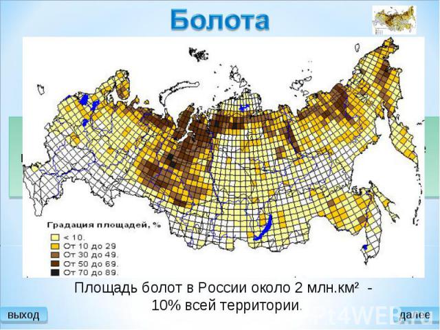 Болота Площадь болот в России около 2 млн.км² - 10% всей территории.