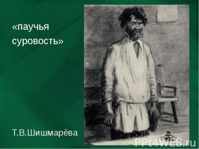 «паучья суровость» Т.В.Шишмарёва