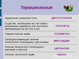 Терминология