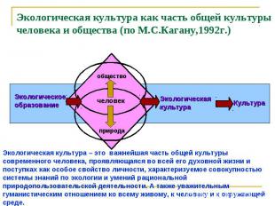 Экологическая культура как часть общей культуры человека и общества (по М.С.Кага