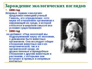 Зарождение экологических взглядов 1866 год Впервые термин «экология» предложил н