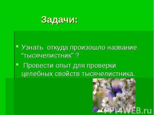 Задачи: Узнать откуда произошло название “тысячелистник” ? Провести опыт для про